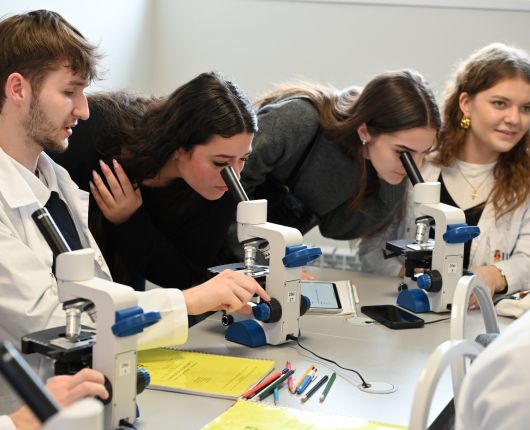 „Învață în Moldova”