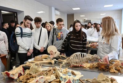 „Învață în Moldova”